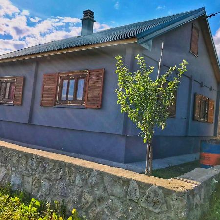 Vila Vikendica Vlahovic Kolašin Exteriér fotografie