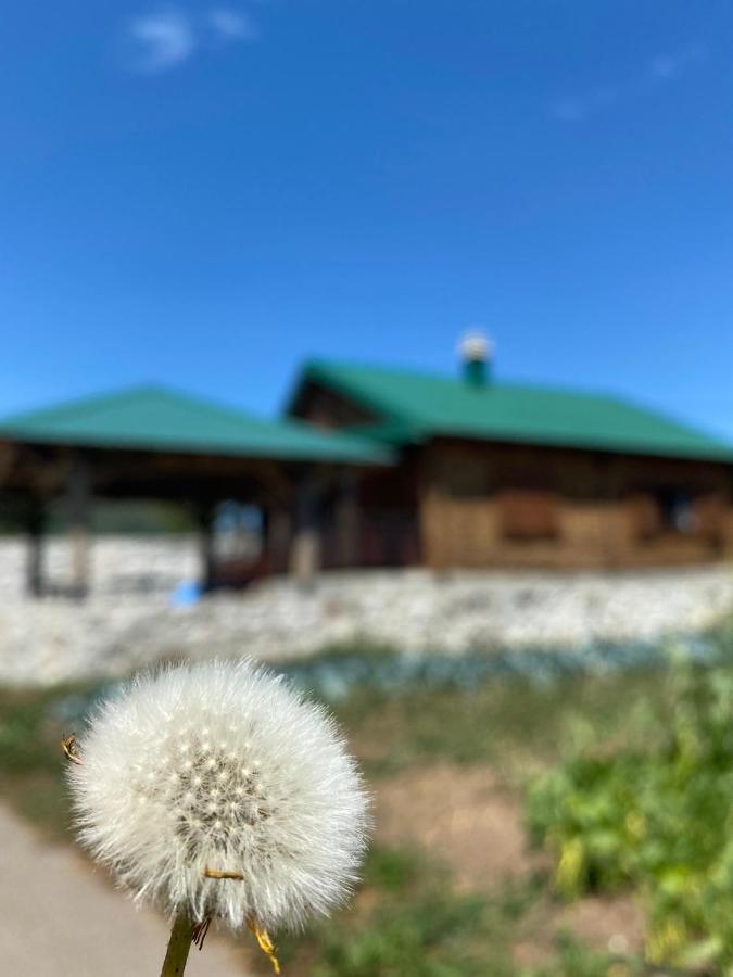 Vila Vikendica Vlahovic Kolašin Exteriér fotografie